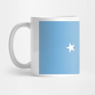 Flag of Micronesia Mug